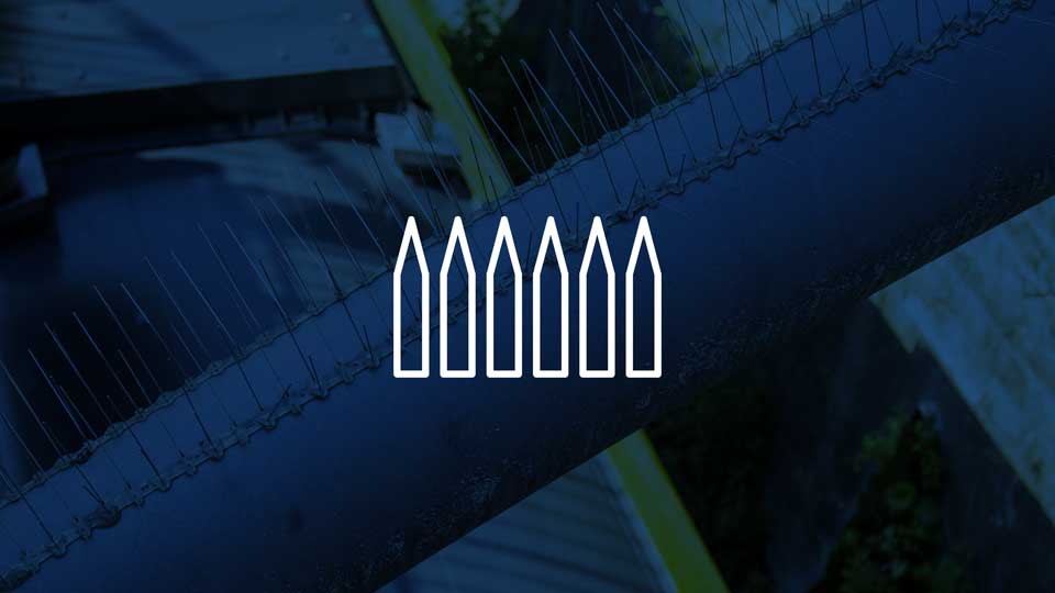 Avipoint™ Bird Spikes